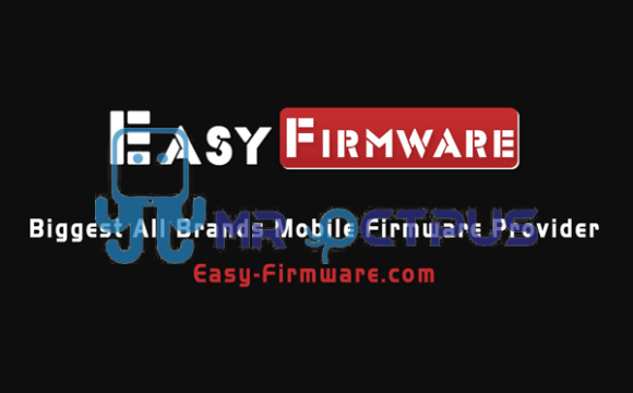 فعالسازی اشتراک سایت easy firmware Platinum Super