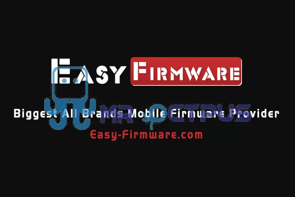 فعالسازی اشتراک سایت easy firmware